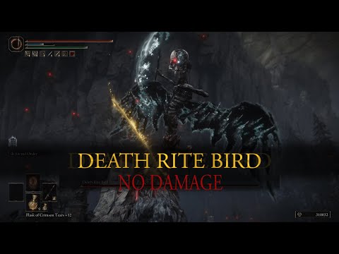 Death Rite Bird [Charo's Hidden Grave] (No Hit / No Damage) Boss Fight