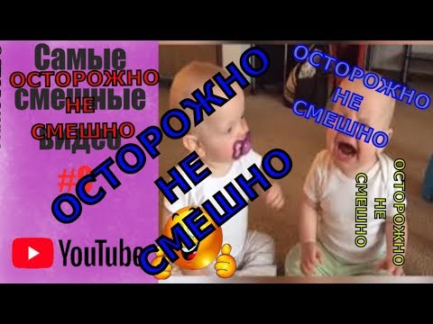 Самые смешные видео / Лучшие приколы/ Смешные животные/ Тест на психику