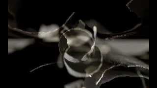 into a motionless silence