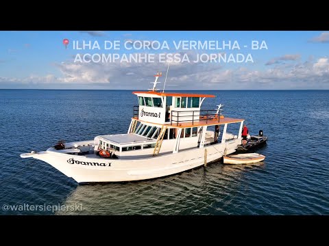 Ilha de Coroa Vermelha/ Nova Viçosa, Bahia. Acampamento, pescaria e muita resenha 🏝️🏕️🎣😂