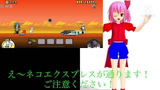 え〜ネコエクスプレスが通ります