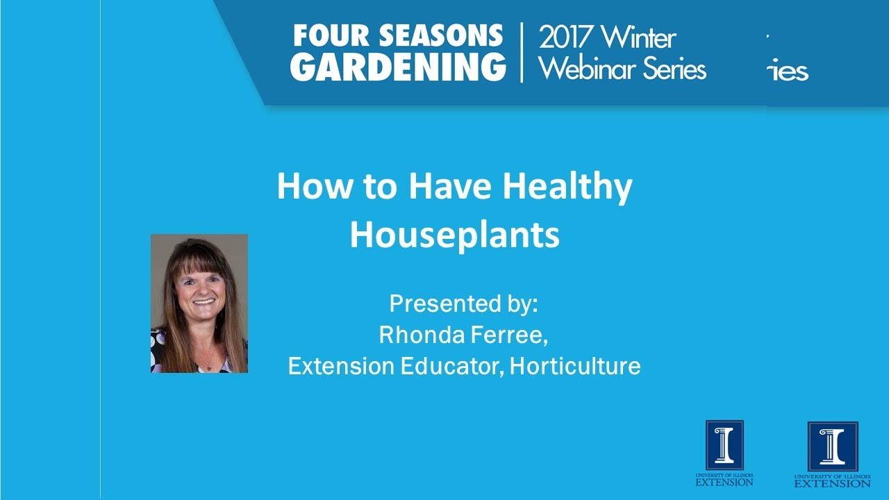 How to Have Healthy Houseplants - 2017 Four Seasons Gardening Webinar - YouTube
