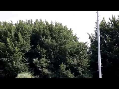 Semper Altius E1 Kinderen-Ouders