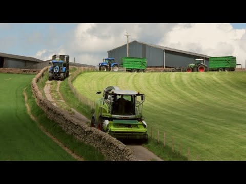 Silage '20 - Claas Jaguar 950 Attacks the Slopes!