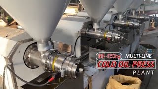 4 Head Multiline Cold Oil Press Machine | Oil Expeller | Oil Mills