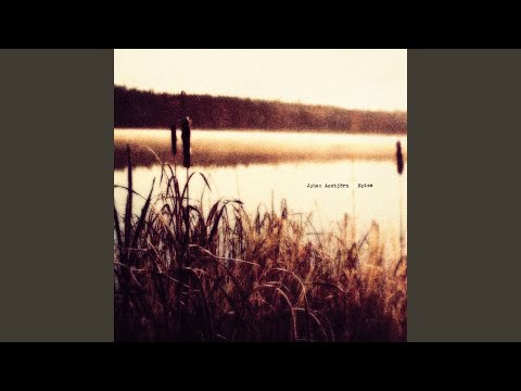 Will They Forgive Us