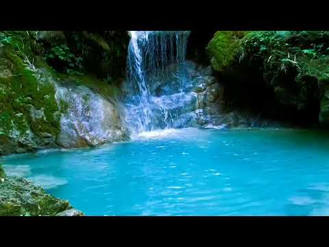 10 Hours - Morning Bird Songs and River Sounds for the Best Start of the Day - Morning River