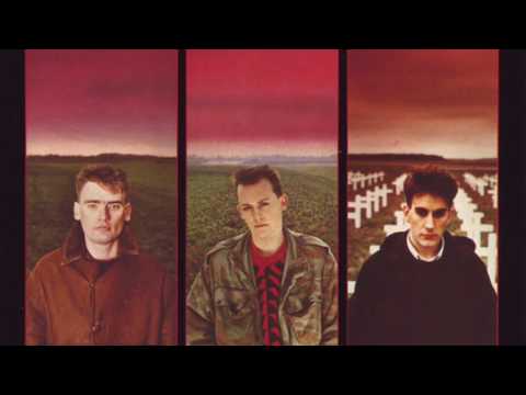 The Colour Field ‎– The Colour Field (HD)