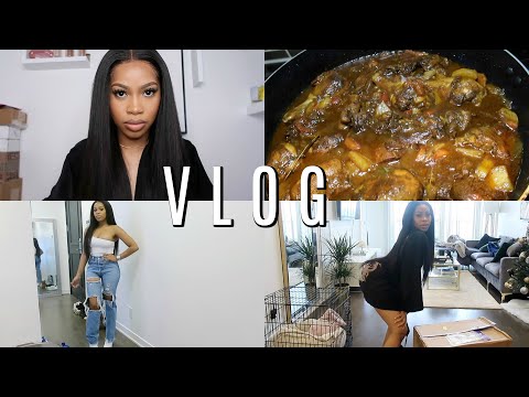 STYLING MY OUTFITS, COOKING JAMAICAN STEW CHICKEN, SHOE HAUL! | Dana Alexia