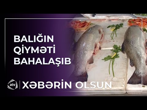 Balığın qiyməti bahalaşıb