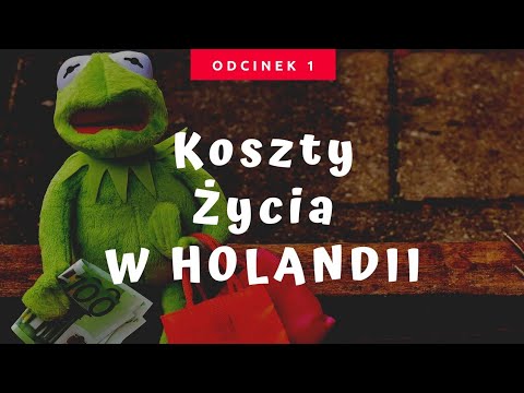 Koszty życia w Holandii. Zarobki i ceny wynajmu mieszkania.
