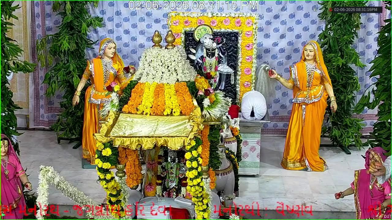 Live Darshan