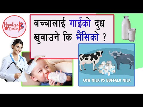 बच्चालाई गाईको दुध खुवाउने कि भैंसिको ? Episode 22 @DrNiteshGhimireNepaleseDoctor  Cow/Buffalo Milk