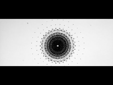 The Lost and Found Bin Episode 68: The Mandela Effect and The Implicate Order