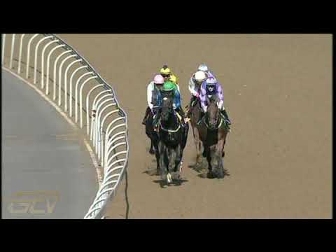 20210425 Hollywoodbets Greyville express clip Race 4 won by NATIVE TONGUE