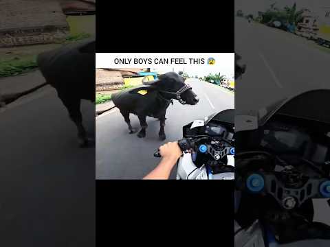 𝗔𝗕𝗕 𝗕𝗔𝗧𝗔𝗢 𝗚𝗔𝗟𝗧𝗜 😰💥 𝗠𝗼𝘁𝗼𝘃𝗹𝗼𝗴𝘀 #shorts #motovlog #ktm #indianvlogger Crash 💔🤯