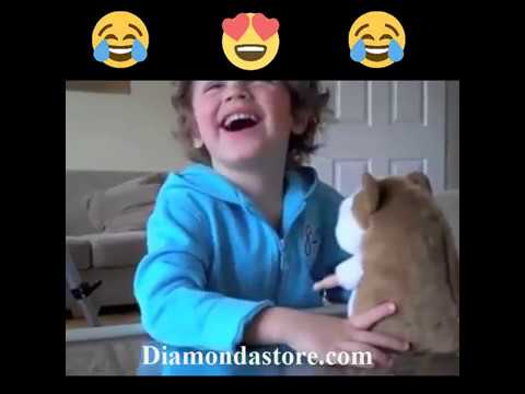 download lagu mp3 mp4 Talking Hamster, download mp3 Talking Hamster free download mp3, download mp3 Talking Hamster