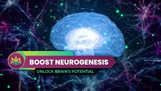 Activate Neuroplasticity, Boost Neurogenesis - Unlock Brain