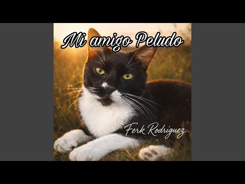 Mi amigo peludo