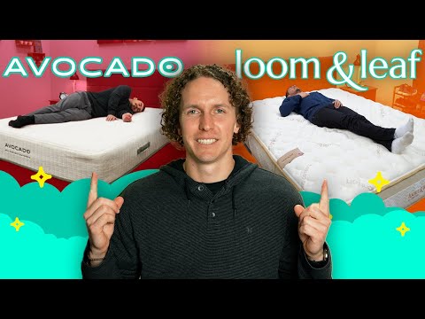 Loom & Leaf vs Avocado | Mattress Review & Comparison (UPDATED)