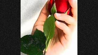 Tanto te extraño...