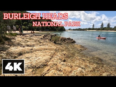 Burleigh Heads National Park, Gold Coast || [4K] Ambient Walk