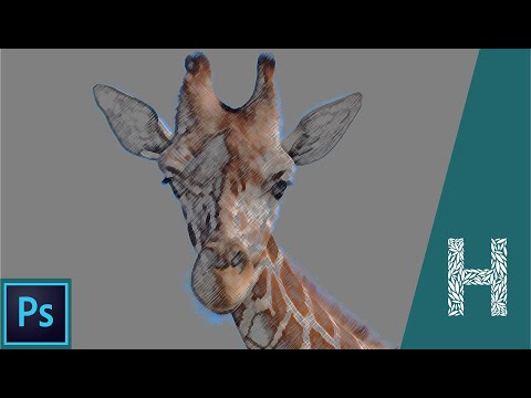 Adobe Photoshop основы знакомство с программой