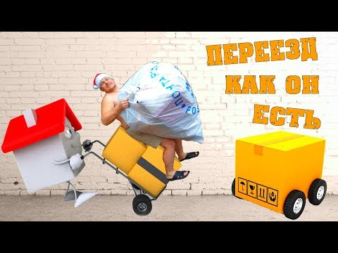 История переезда - Последние новости. Получили документы на дом / Семья в деревне