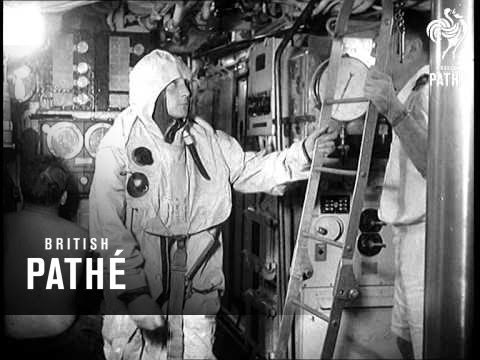 download lagu mp3 mp4 Hms Tiptoe, download lagu Hms Tiptoe gratis, unduh video klip Download Hms Tiptoe Mp3 dan Mp4 320kbps Gratis