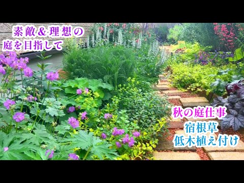 冬のガーデニング：12月に植える低木はどれですか？今あなたの庭に加えるべきトップ5の種  庭園