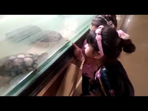 Armeen went to the zoo to see fish with her cousins 😍🐠🐬🐳🐢