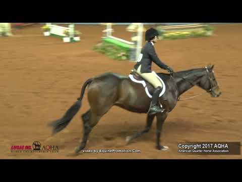 DOYOU HAVE THEMAGIC - 2017 AQHA World Show (Am. Eq. Over Fences, FINALS)