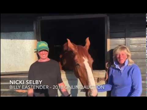 Nikki Selby & Helen Witchell talk about their auction purchase