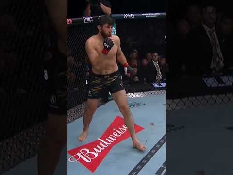 Alex Pereira besiegt Magomed Ankalaev!