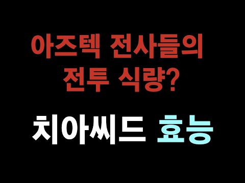 2큰술로 건강이 바뀐다? 치아씨드의 놀라운 효능과 먹는 법