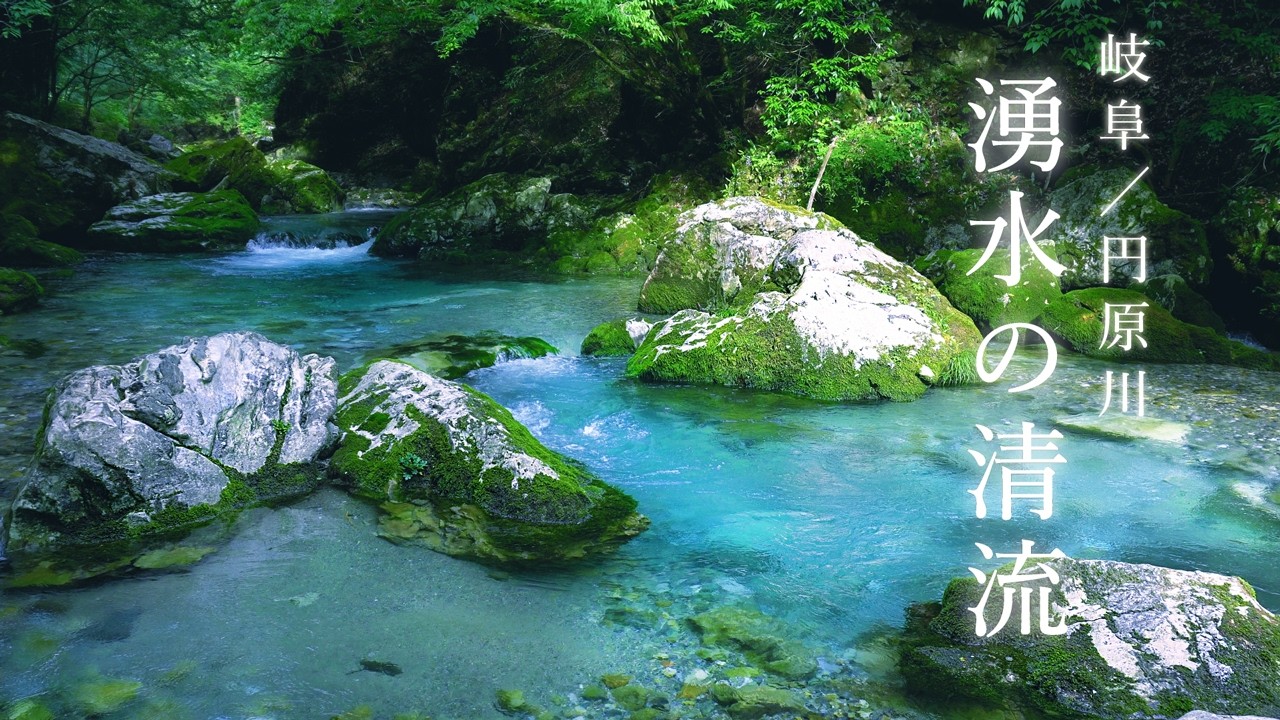 【癒しの自然音】エメラルドブルーの清流・円原川｜心を浄化する水音でぐっすり眠れる【岐阜・秘境】