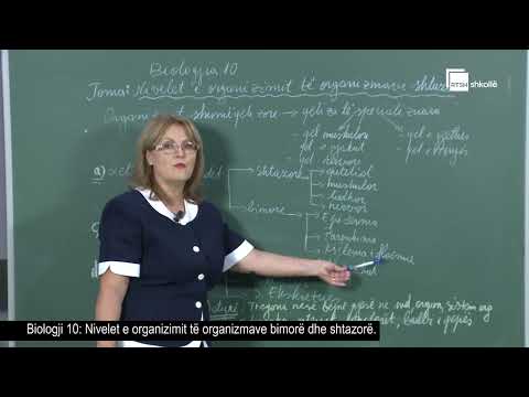 Nivelet e organizimit të organizmave bimorë dhe shtazorë| Biologji 10