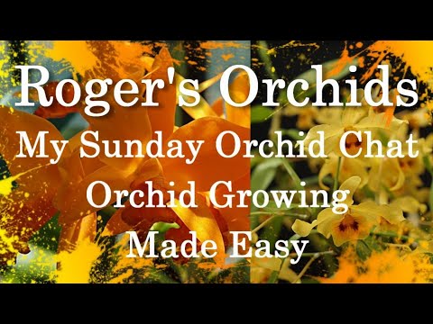 My Sunday Orchid Chat - Orchid Growing Made Easy