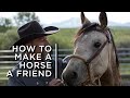 How To Make A Horse A Friend One Cowboy S Partnership With Horses
