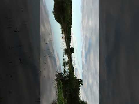 RIO de BONINAL BAHIA Transbordando EM ÁGUA