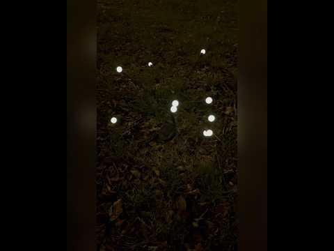 Декоративний садовий світильник на сонячній батареї