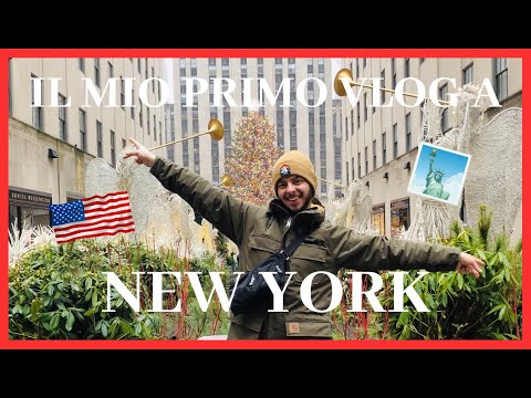 MI HANNO REGALATO UN VIAGGIO A NEW YORK + *IMPREVISTO* | VLOG #1 Davide Riva