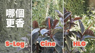 淺談索尼PP值 | HLG2參數+一級校色流程+還原LUTs