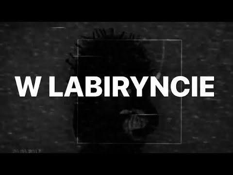2T4 - W LABIRYNCIE (BLEND GRZEGORZ MARKOWSKI) | #rozproszenipopodwórkach