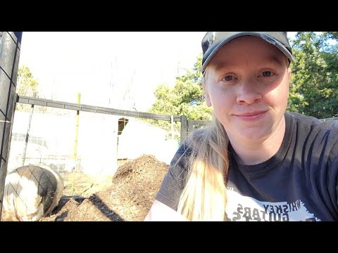 Using Wood Chips In Our Pig Pen | Arco Iris Ranch