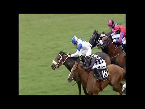 Radiant Splendour (AUS) Turffontein 26 November 2017