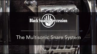 Black Swamp Percussion Multisonic Strainer Demo
