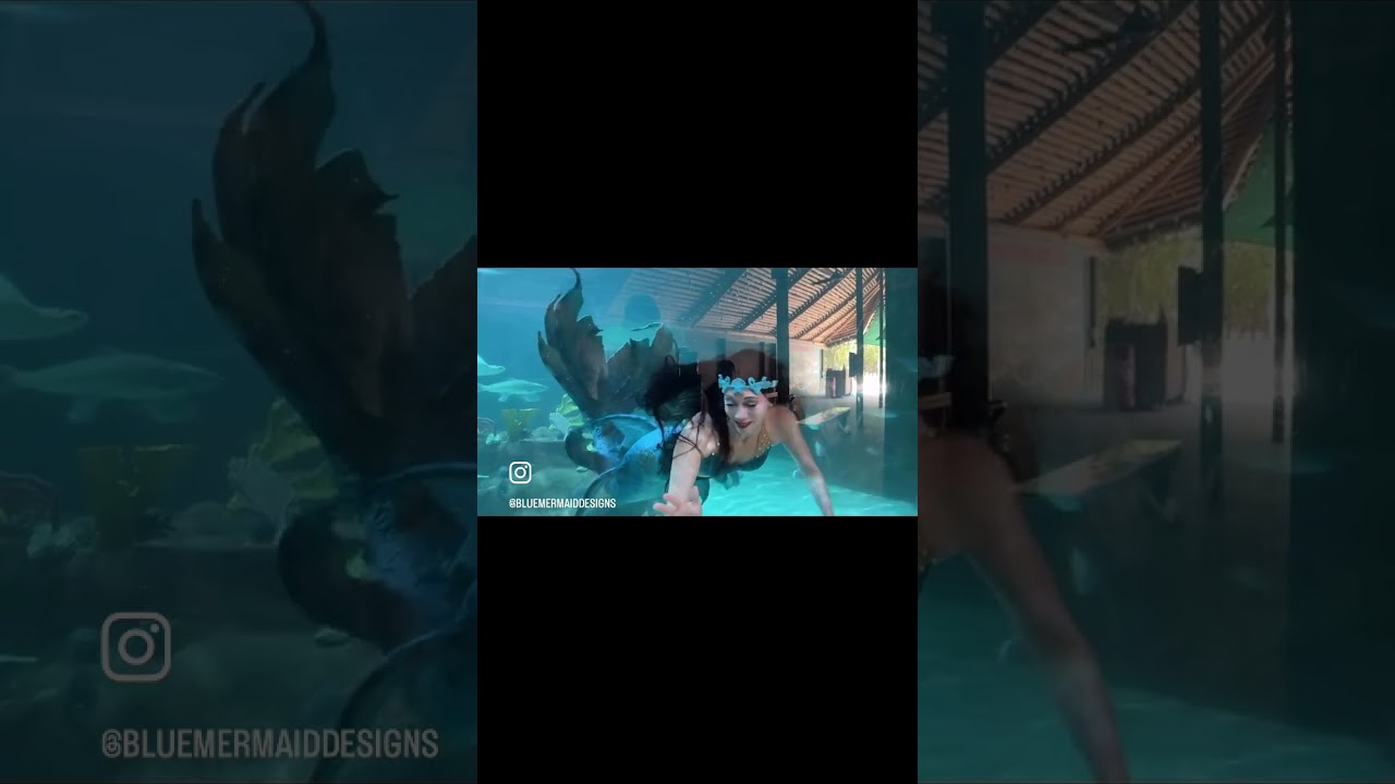 Promotional video thumbnail 4 for Blue Mermaid Designs