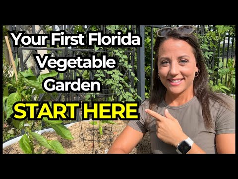 How to Start a Vegetable Garden in Florida: For the Beginner