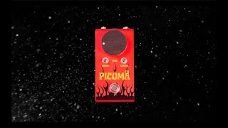 Wintter Labs - Picumã Fuzz demo video